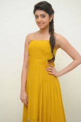 Pranitha at Alludu Seenu Audio Launch